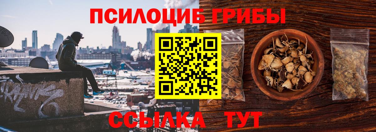 Псилоцибиновые грибы Cubensis Вольск