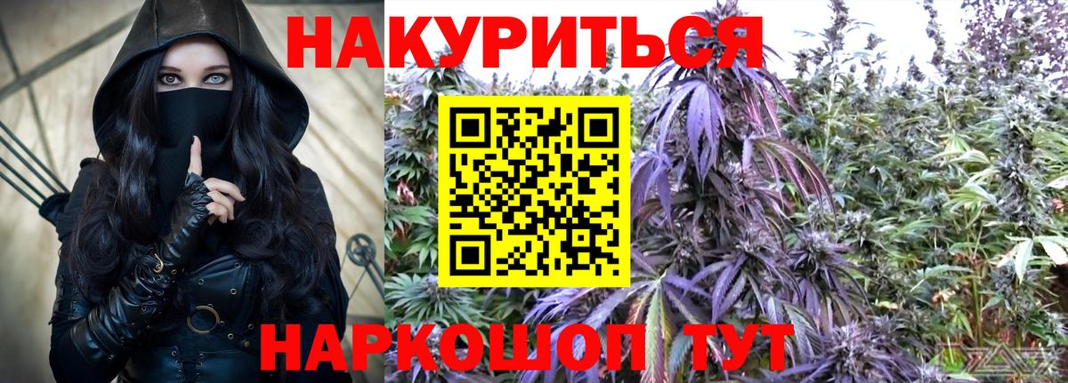 Конопля сатива Вольск